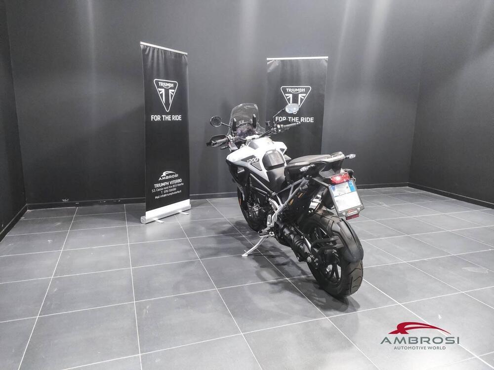 Triumph Tiger 1200 GT Pro (2024) (4)