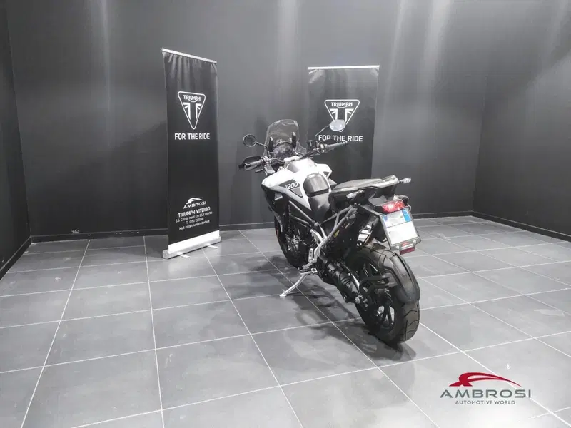 Triumph Tiger 1200 GT Pro (2024 - 26) (4)