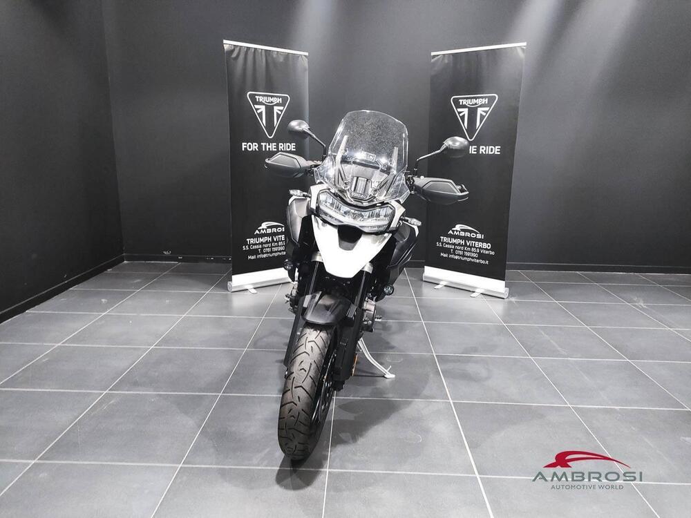 Triumph Tiger 1200 GT Pro (2024) (5)