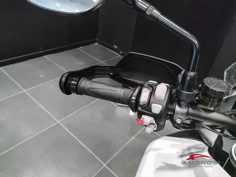 Triumph Tiger 1200 GT Pro (2024 - 26) (9)