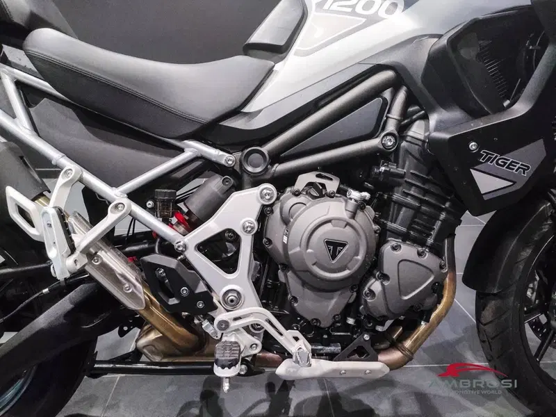 Triumph Tiger 1200 GT Pro (2024 - 26) (10)