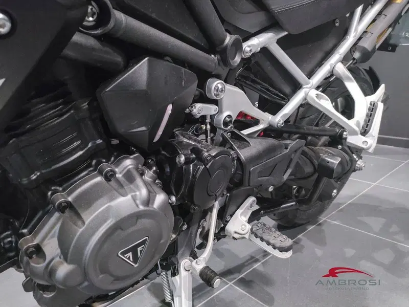 Triumph Tiger 1200 GT Pro (2024 - 26) (13)