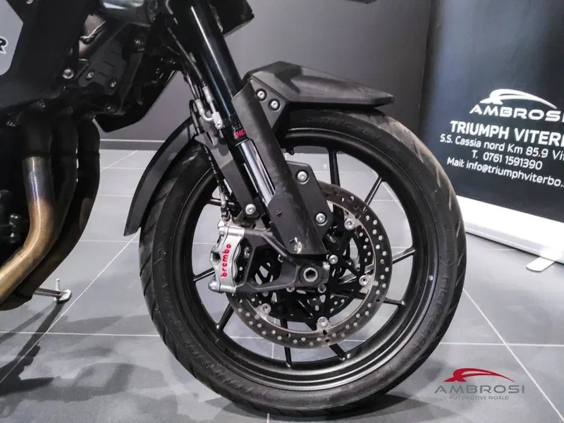Triumph Tiger 1200 GT Pro (2024 - 26) (15)