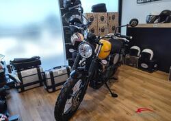 Triumph Scrambler 900 (2023 - 24) usata