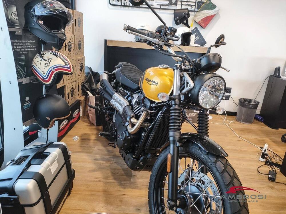 Triumph Scrambler 900 (2023 - 24) (2)