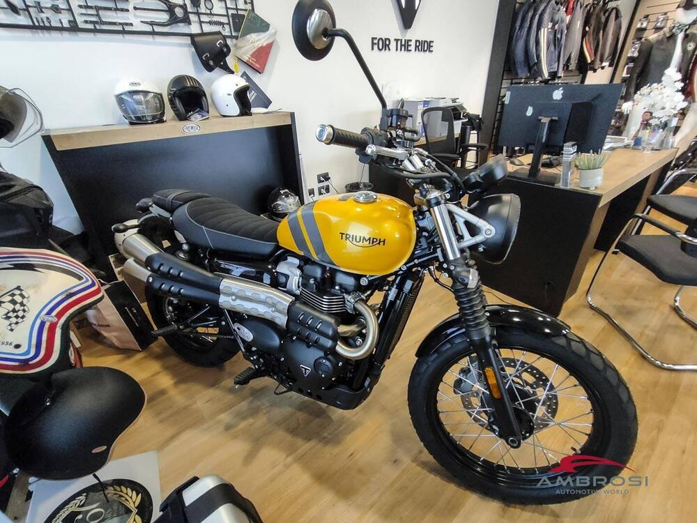 Triumph Scrambler 900 (2023 - 24) (3)