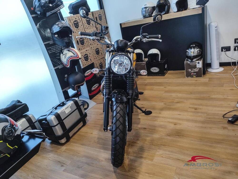 Triumph Scrambler 900 (2023 - 24) (5)