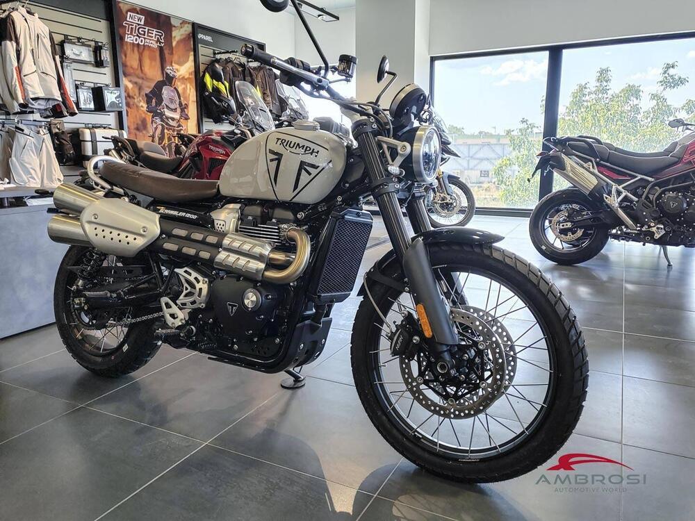 Triumph Scrambler 1200 X (2024) (5)