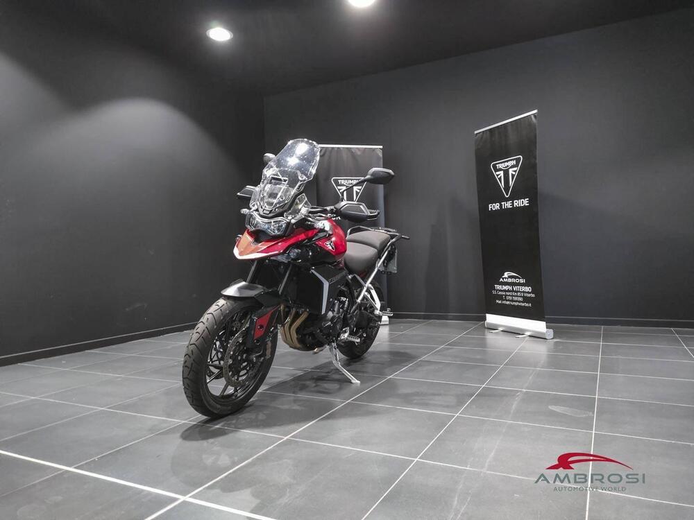 Triumph Tiger 900 GT Pro (2024)