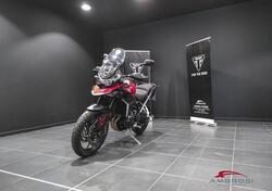 Triumph Tiger 900 GT Pro (2024) usata