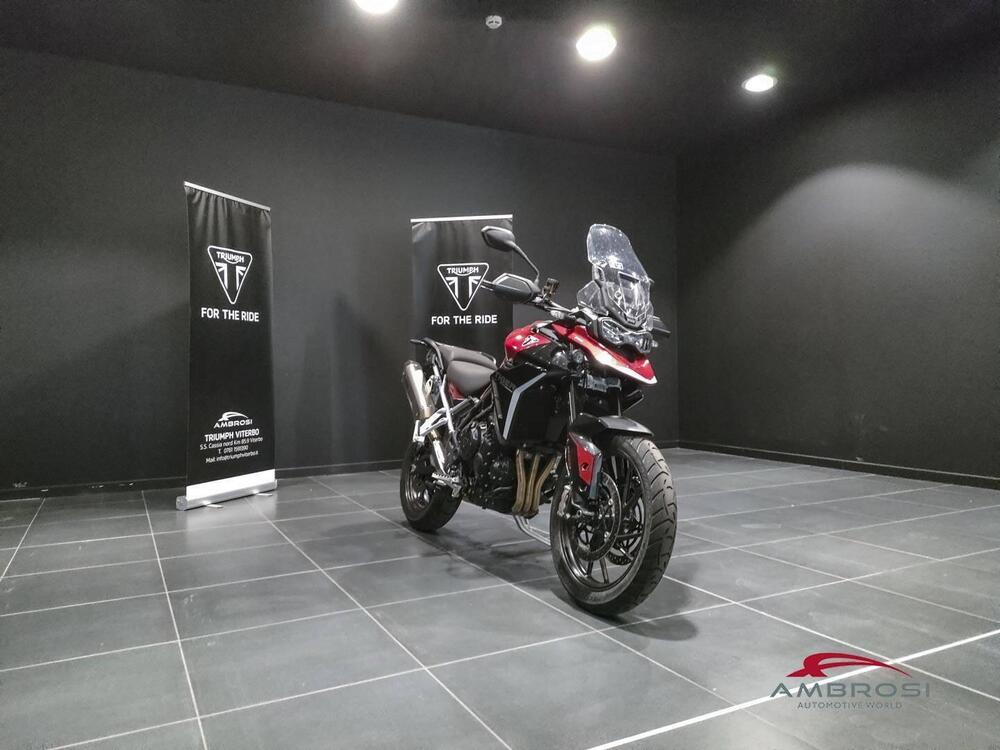 Triumph Tiger 900 GT Pro (2024) (2)