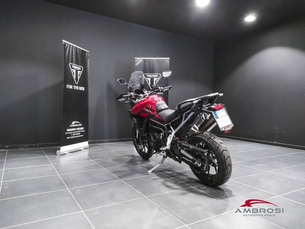 Triumph Tiger 900 GT Pro (2024) (4)