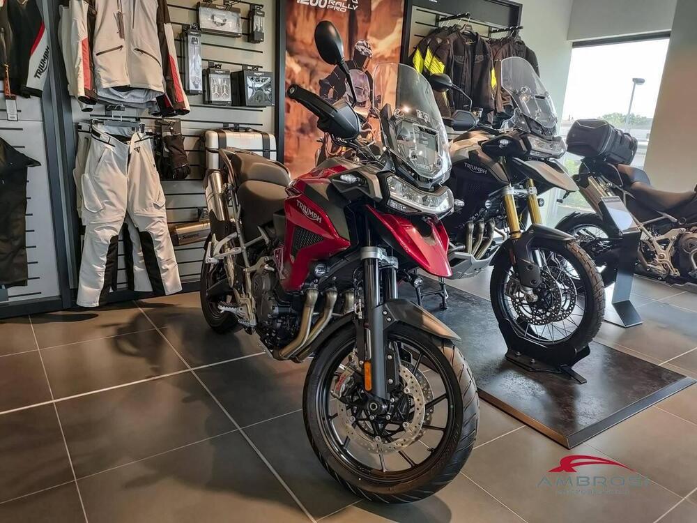 Triumph Tiger 1200 GT Pro (2024) (2)