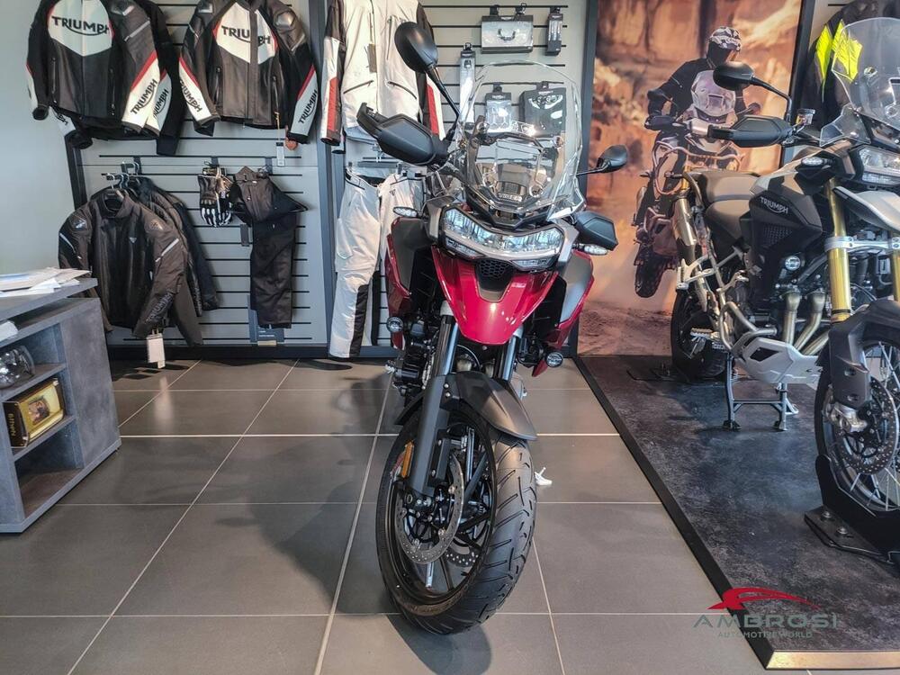 Triumph Tiger 1200 GT Pro (2024) (3)