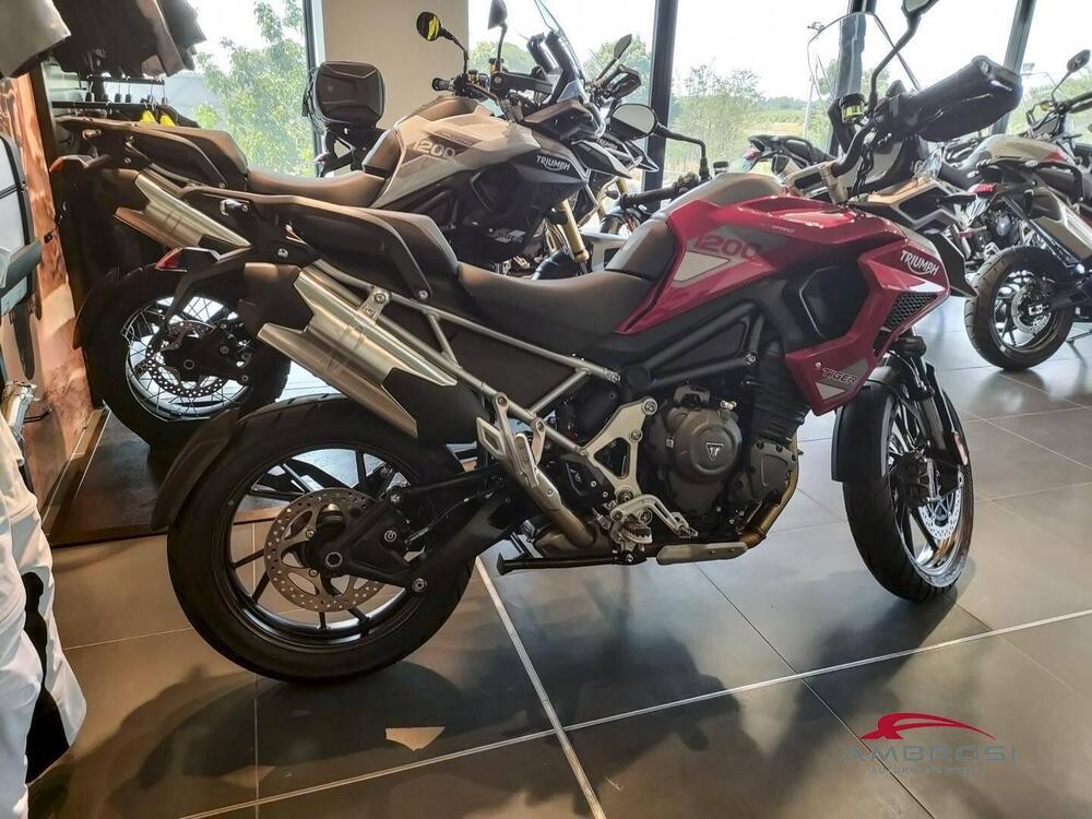 Triumph Tiger 1200 GT Pro (2024) (4)