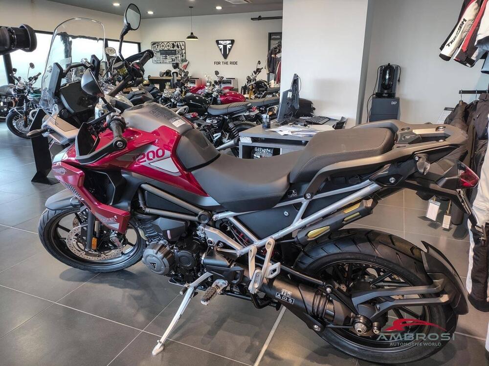 Triumph Tiger 1200 GT Pro (2024) (5)