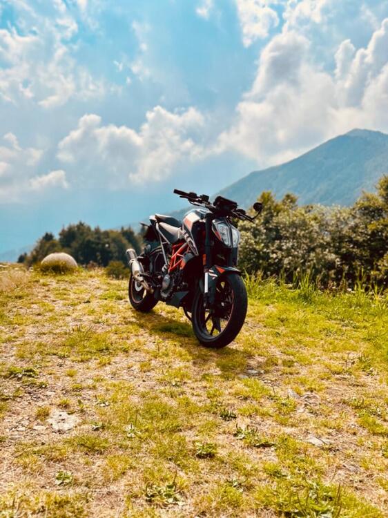 KTM 125 Duke (2021 - 23) (3)