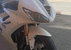 Triumph Daytona 675 ABS (2009 - 13) usata