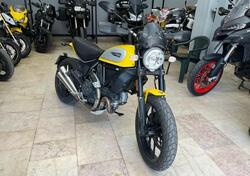 Ducati Scrambler 800 Icon (2015 - 16) usata