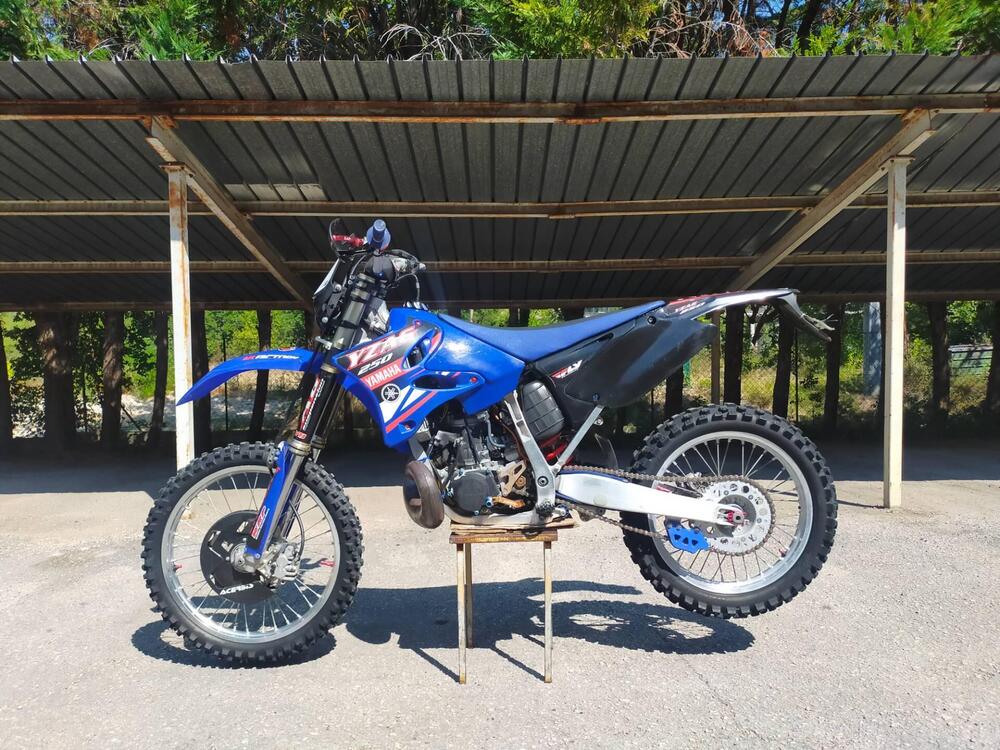 Yamaha YZ 250 (2008) (4)