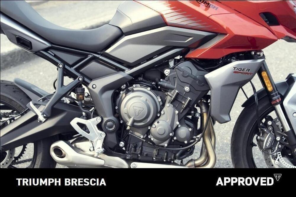 Triumph Tiger 660 Sport (2022 - 24) (3)