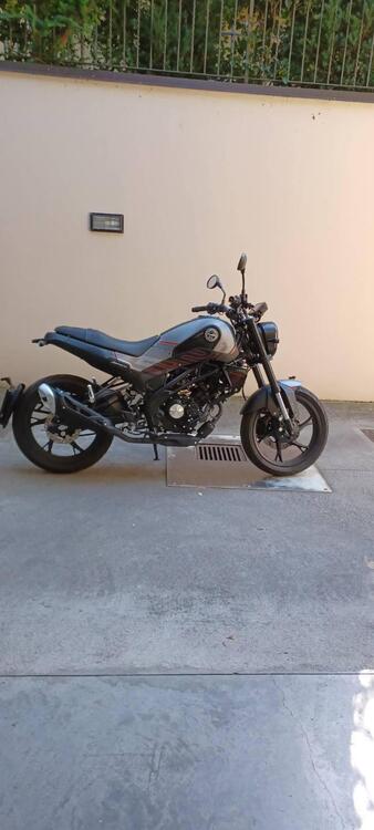 Benelli Leoncino 125 (2022 - 24) (2)