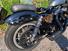 Harley-Davidson 1200 Roadster (2002 - 05) - XL 1200R (8)