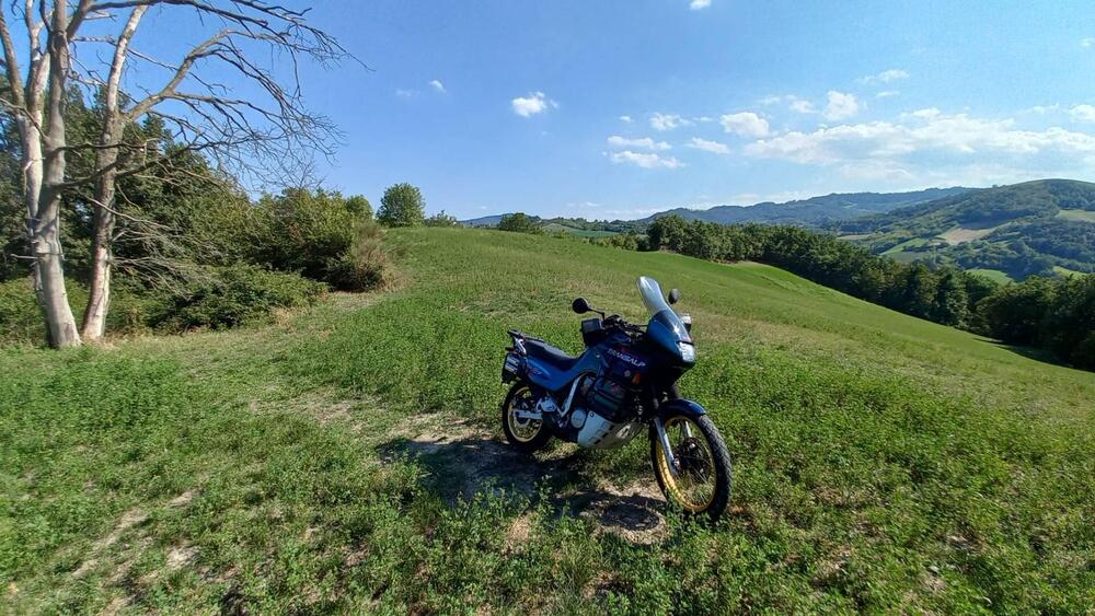 Honda Transalp XL 600V (1994 - 96) (2)