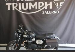 Triumph Bonneville T100 (2021 - 24) usata