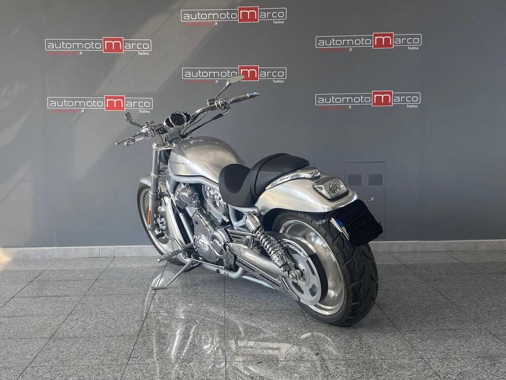 Harley-Davidson 1130 V-Rod (2002 - 05) - VRSCA (4)