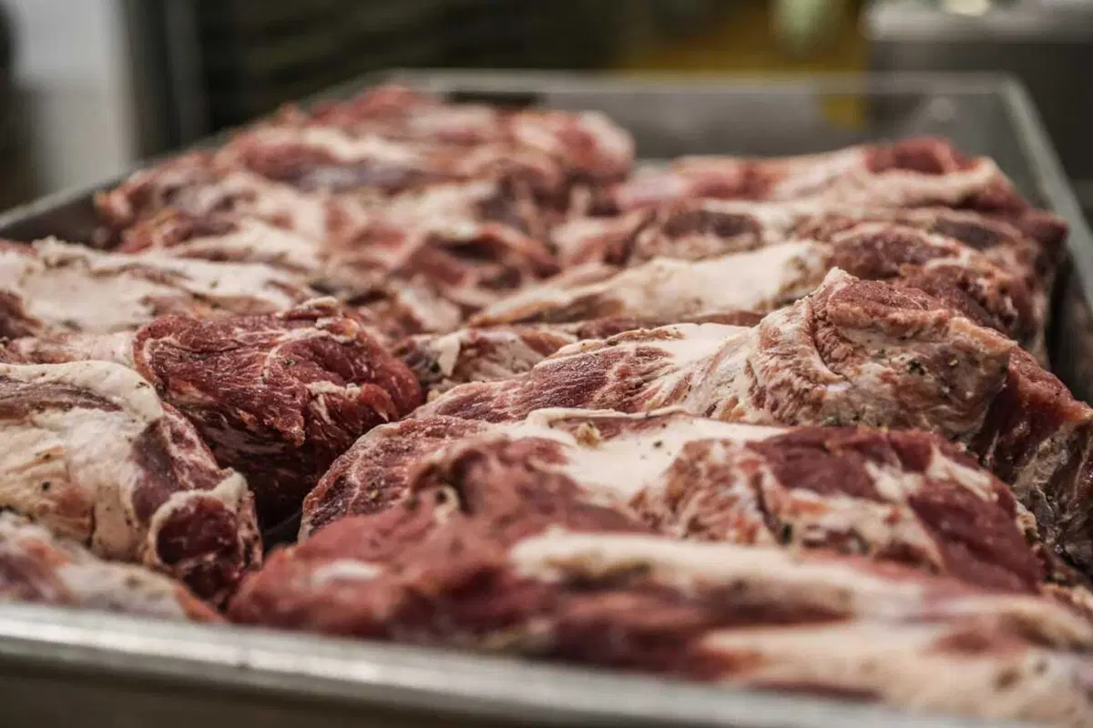 Pancetta e focaccia! In moto da Piacenza a Recco a fini gastronomici [VIDEO] (7)