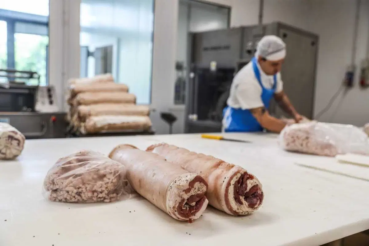 Pancetta e focaccia! In moto da Piacenza a Recco a fini gastronomici [VIDEO] (8)