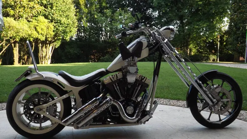 Harley-Davidson 1450 Deluxe (2005 - 06) - FLSTNI (4)