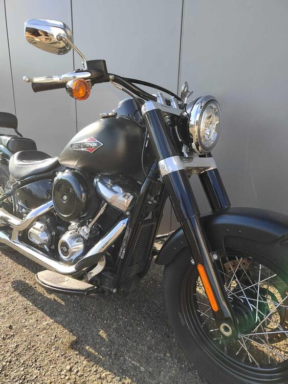 Harley-Davidson 107 Slim (2018 - 20) - FLSL (5)