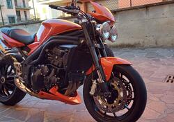 Triumph Speed Triple 1050 (2005 - 11) usata