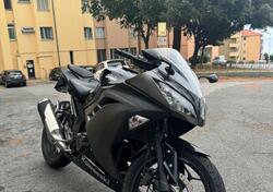 Kawasaki Ninja 300 ABS (2012 - 16) usata