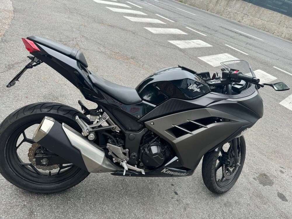 Kawasaki Ninja 300 ABS (2012 - 16) (4)