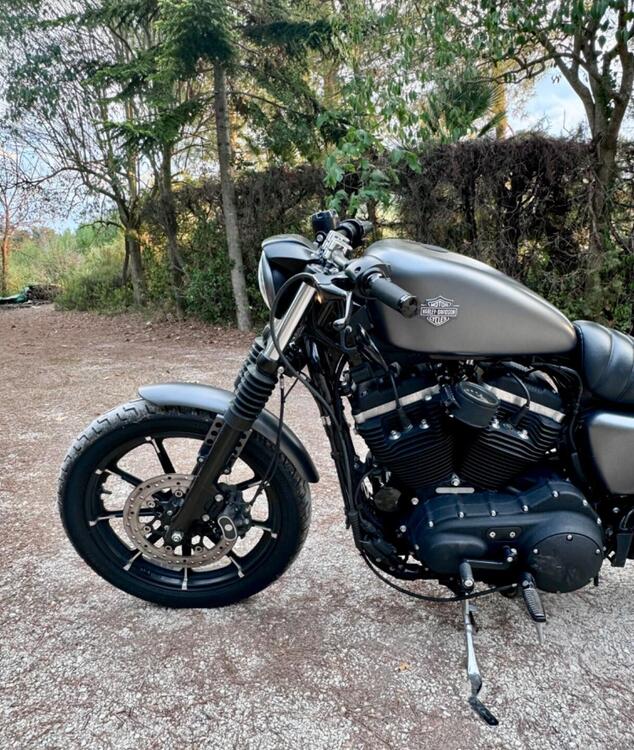 Harley-Davidson 883 Iron (2014 - 16) - XL 883N