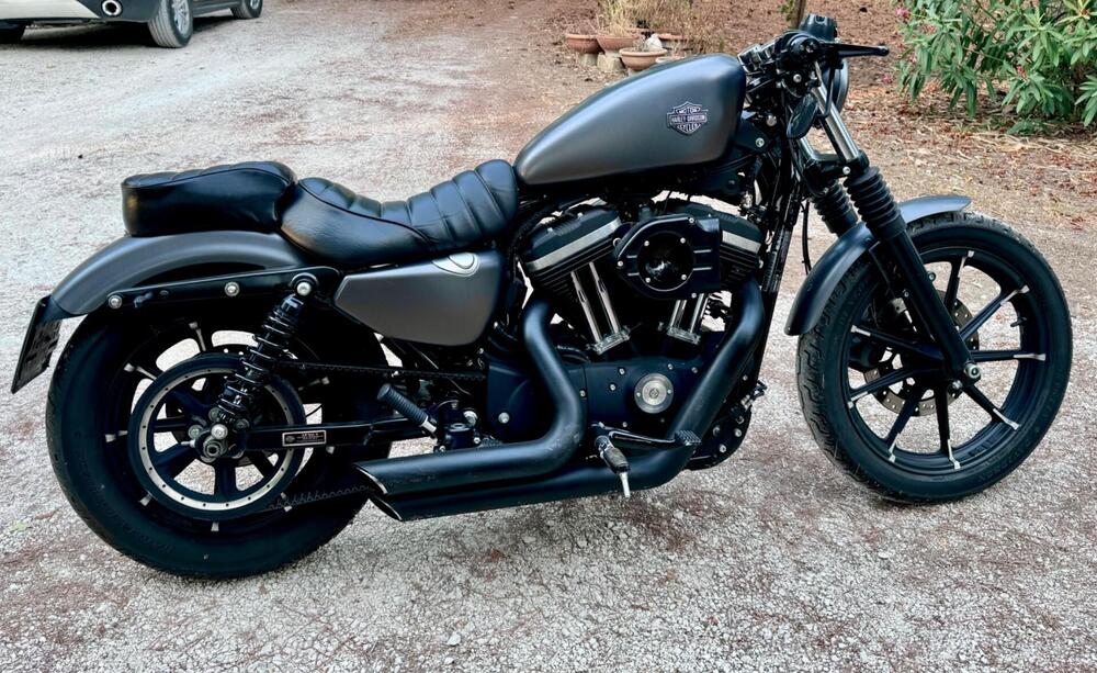 harley davidson 883 n