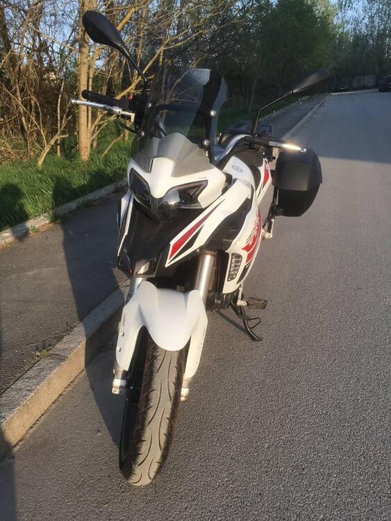 Benelli TRK 251 (2019 - 20) (2)