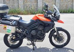 Triumph Tiger 800 XC ABS (2010 - 14) usata