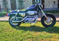 Harley-Davidson 883 Standard (1994 - 00) - XLH usata