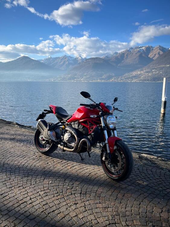 Ducati Monster 821 (2018 - 20) (3)