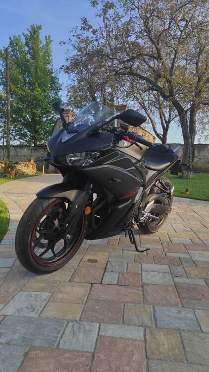 Yamaha YZF R3 (2018) (5)