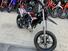 Betamotor RR 50 Motard (2021 - 24) (6)