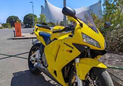 Honda CBR 600 RR (2003 - 04) usata