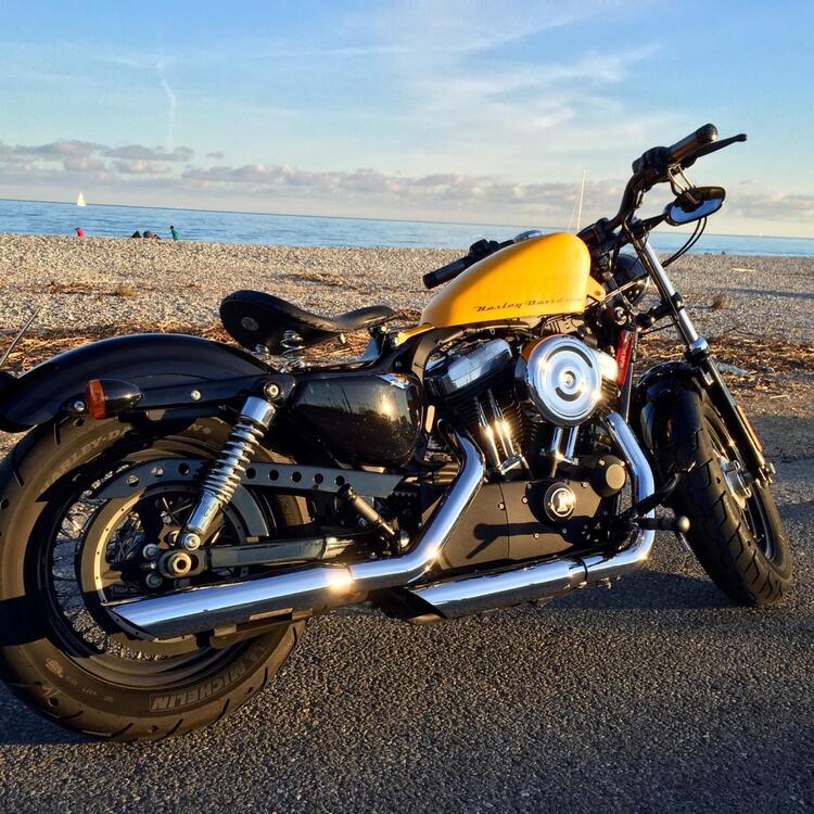 Harley-Davidson 1200 Forty-Eight (2010 - 15)