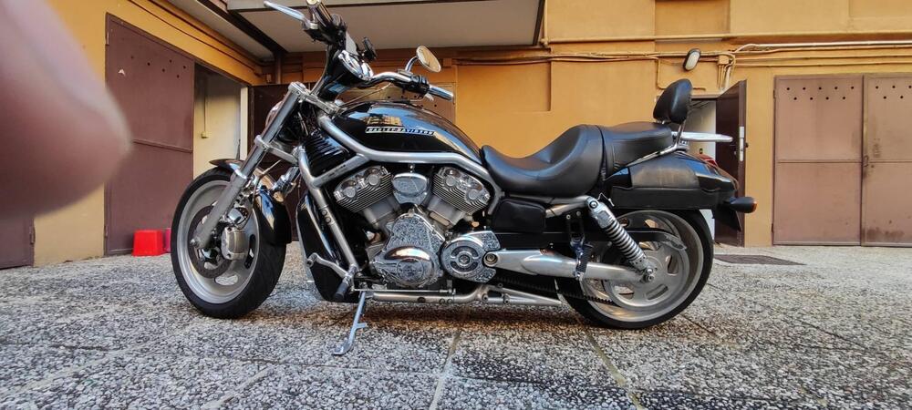 Harley-Davidson 1250 V-Rod (2008 - 12) - VRSCAW