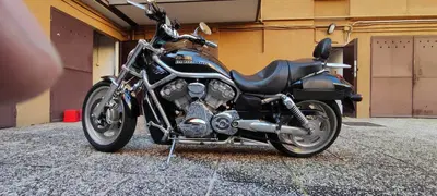 Harley-Davidson 1250 V-Rod (2008 - 12) - VRSCAW usata
