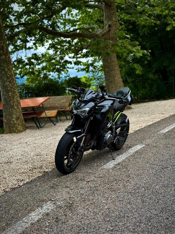 Kawasaki Z 900 (2019)